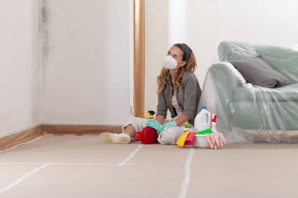 Reliable Black Mold Removal contractor in Lewisville, WA by WQB Mold Removal